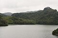 Lago Garzas