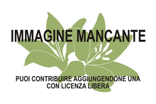 Immagine di Desmanthus leptolobus mancante