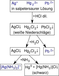 Schema der Salzsäuregruppe