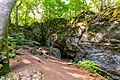 Höhlen als Tagesversteck und Überwinterungsplatz