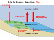 Diagrama del ciclo del oxígeno