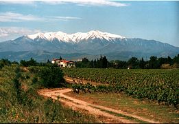 Vista des de Perpinyà