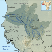 Le fleuve Sénégal.