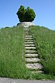 Leibfriedscher garden viewpoint