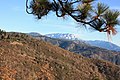 File:View of snow-capped mountains from CA Highway 18 east of Lake Arrowhead turnoff.jpg