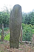 Barre - statue-menhir de Cantoul.