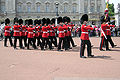 Grenadier Guards