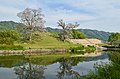 八尾市 心合寺山古墳（160m）