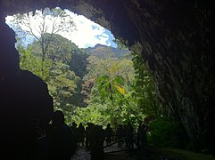 Interior de la cueva el Guácharo.