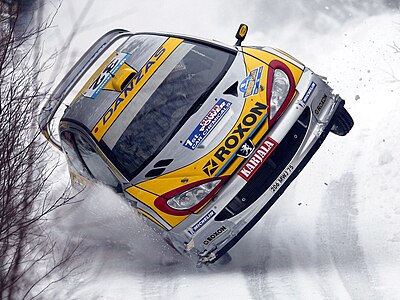 Juuso Pykälistö van Finland in sy Peugeot 206 WRC tydens die 2003 Sweedse Tydren.