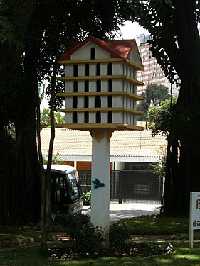 Sur une place de São Paulo.