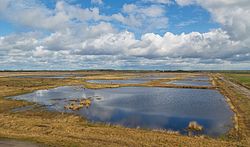 70. Platz: J.-H. Janßen mit Blick über einen Teil des Naturschutzgebiets Leegmoor, eines renaturierten Moors bei Surwold im Landkreis Emsland