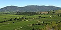 Viñedos en la ruta del vino del valle de Colchagua.