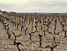 Géologie du vignoble de Bordeaux (août 2012).