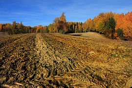 Punakaspruun leetunud muld Atsla vallas