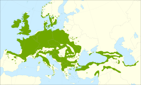 Descripcion d'l'imatge Quercus petraea range.svg.