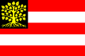 Flag of 's-Hertogenbosch