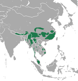 Área de distribución da especie.