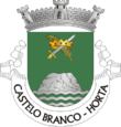 Vlag van Castelo Branco