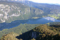 Lake Bohinj