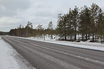 Del av Lapplands naturreservat, längs länsväg 233.