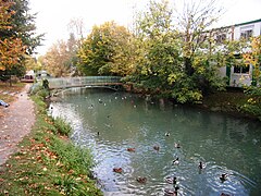 L’Essonne à La Ferté-Alais.