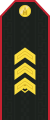 Mongolian Army-SSG-service