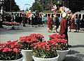 Ниброплан во Стокхолм од 1953. године