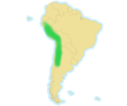 Distribución de la vicuña