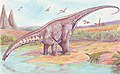 水を飲むApatosaurus louisaeの復元図