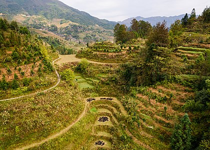 "Longsheng_Rice_Terraces_November_2017_021.jpg" by User:King of Hearts