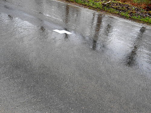 Wet road near Nontron, Dordogne