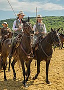 Équitation maremmane