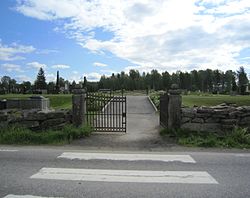 Vålgutua