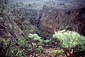 Lavafeld des Vulkans San Juan