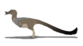 Trierarchuncus (classified as inaccurate paleoart, used in List of North American dinosaurs)