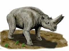 Arsinoitherium