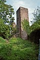 Château Greifenstein ruines