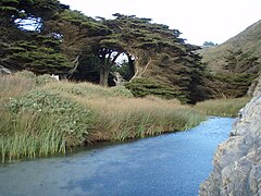 Pfeiffer Big Sur State Park