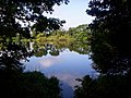 River Shannon, Clare