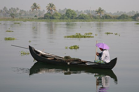 From the backwaters in Kerala (Near Punnamada Lake), India Image is also a Featured picture of people of India