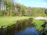 Die Böhme zwischen Lönsgrab und Elferdingen (Walsrode)