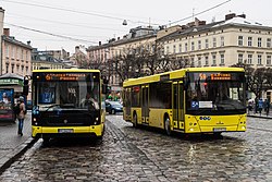 Electron A185 and MAZ 203 buses in Lviv