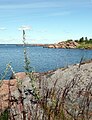 Island outside Oskarshamn.