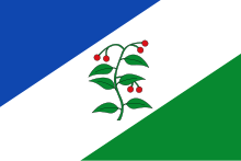 Bandera d'Arbúcies.svg