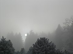 半透明層雲。太陽の輪郭がはっきりと見える。