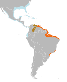      distribución del corocoro rojo