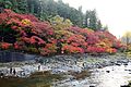 Folhas de outono em Kōrankei