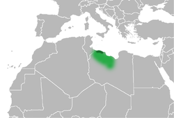 Tripolitania - Localizzazione