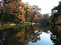 Mestský park na jeseň – jazierko